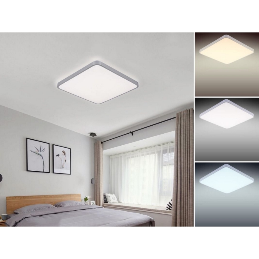 Nedes LC801A/SI/S - Lampada da soffitto LED dimmerabile LED/50W/230V + GRATIS Lampada fluorescente LED LED/36W