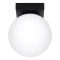 Lampada da soffitto YOLI 1xG9/12W/230V nero