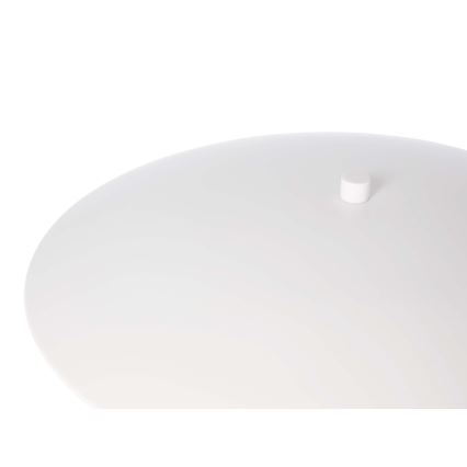 Lampada da tavolo a LED LUND LED/10,5W/230V bianco