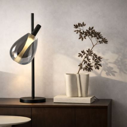 Lampada da tavolo DENSO 1xG9/5W/230V nero cromato