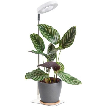 Lampada da tavolo dimmerabile a LED per la coltivazione delle piante VERDI LED/5W/5V 1300K CRI 95 bianca