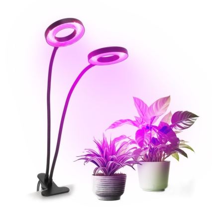 Lampada da tavolo flessibile a LED dimmerabile con clip per la coltivazione di piante VITARO 2xLED/4W/230V nero