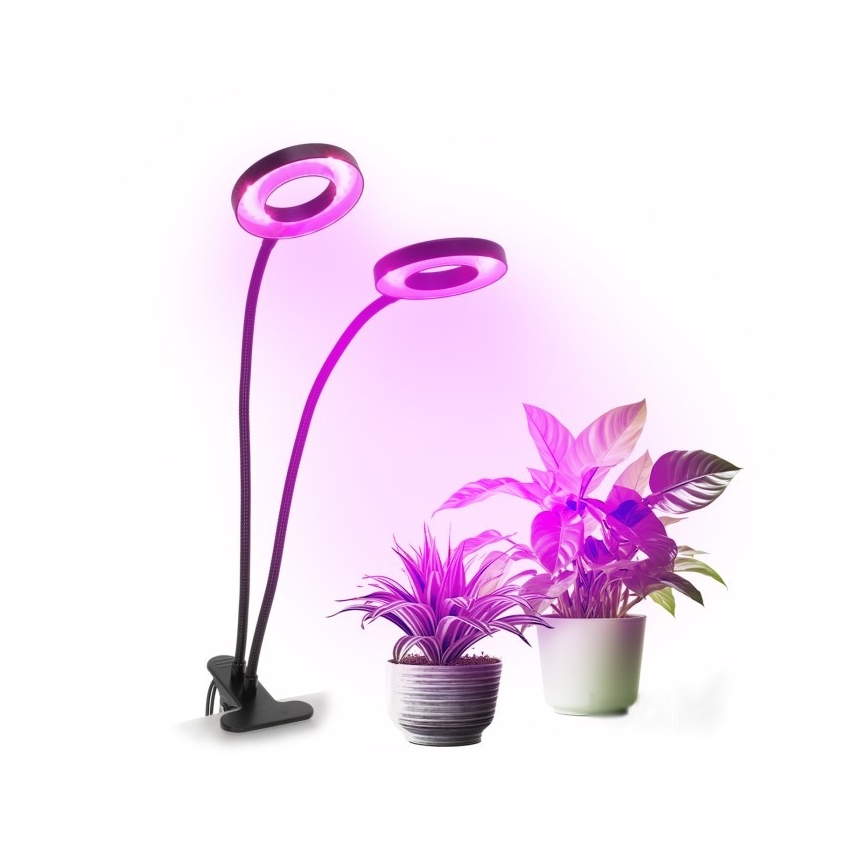 Lampada da tavolo flessibile a LED dimmerabile con clip per la coltivazione di piante VITARO 2xLED/4W/230V nero