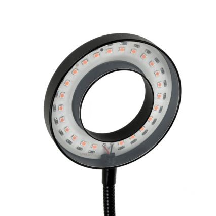Lampada da tavolo flessibile a LED dimmerabile con clip per la coltivazione di piante VITARO 2xLED/4W/230V nero