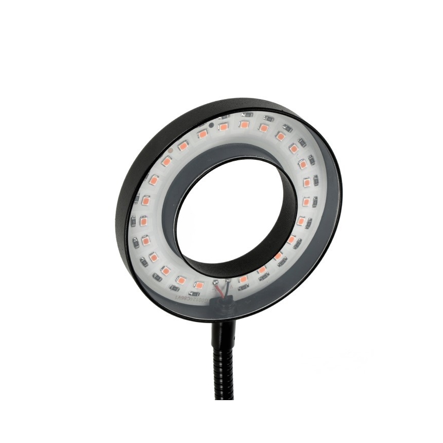 Lampada da tavolo flessibile a LED dimmerabile con clip per la coltivazione di piante VITARO 2xLED/4W/230V nero