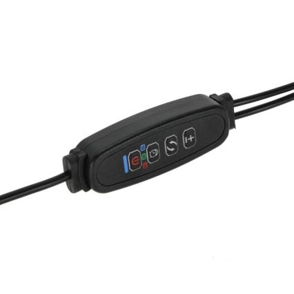 Lampada da tavolo flessibile a LED dimmerabile con clip per la coltivazione di piante VITARO 2xLED/4W/230V nero