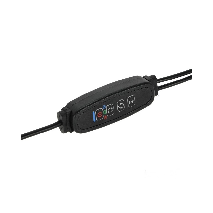 Lampada da tavolo flessibile a LED dimmerabile con clip per la coltivazione di piante VITARO 2xLED/4W/230V nero