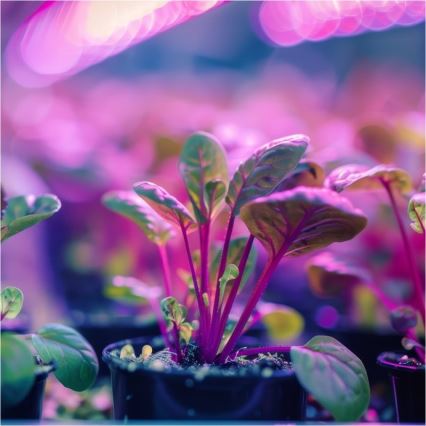 Lampada da tavolo flessibile con clip per coltivazione piante PLANTY 1xE27/30W/230V bianca