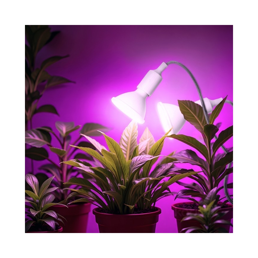 Lampada da tavolo flessibile con clip per coltivazione piante PLANTY 2xE27/30W/230V bianca