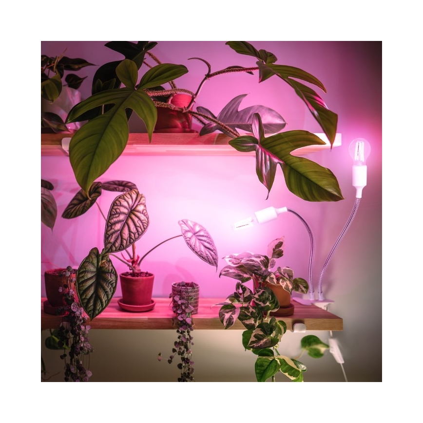 Lampada da tavolo flessibile con clip per coltivazione piante PLANTY 2xE27/30W/230V bianca
