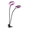 Lampada da tavolo flessibile dimmerabile a LED con clip per coltivazione piante VITARO 2xLED/4W/230V nero
