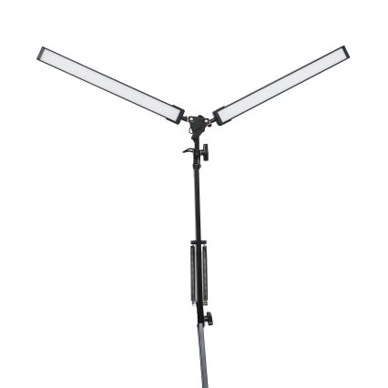 Lampada da tavolo LED con morsetto 2xLED/10W/230V 2800-6800K