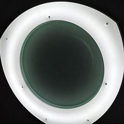 Lampada da tavolo LED dimmerabile con lente d'ingrandimento e clip LED/8W/12/230V