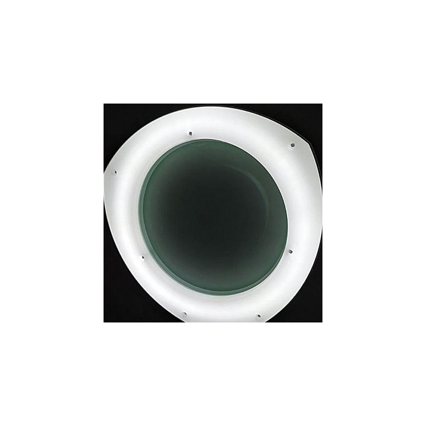 Lampada da tavolo LED dimmerabile con lente d'ingrandimento e clip LED/8W/12/230V