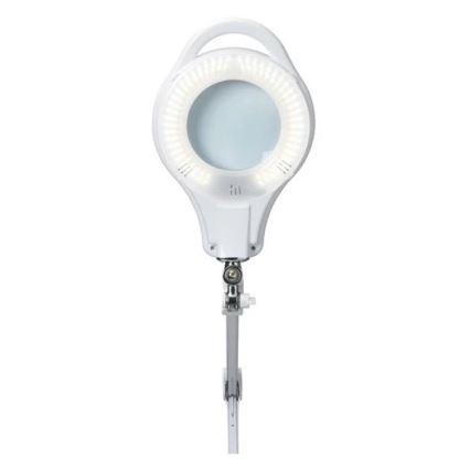 Lampada da tavolo LED dimmerabile con lente d'ingrandimento LED/10W/230V bianca