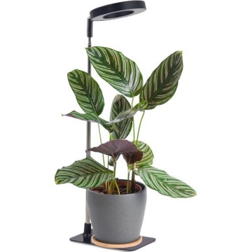 Lampada da tavolo LED dimmerabile per coltivazione di piante VERDI LED/5W/5V 1300K CRI 95 nera