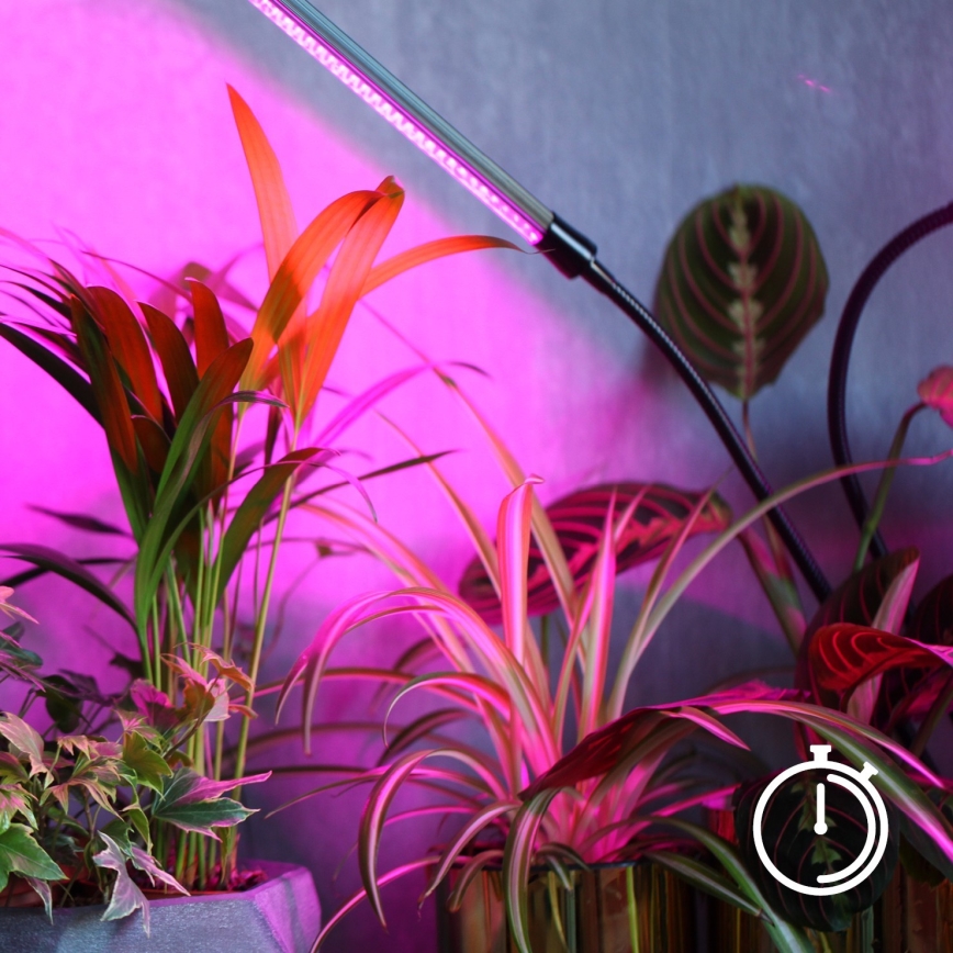 Lampada da tavolo LED dimmerabile e flessibile per coltivazione di piante VITARO 4xLED/10W/230V nero