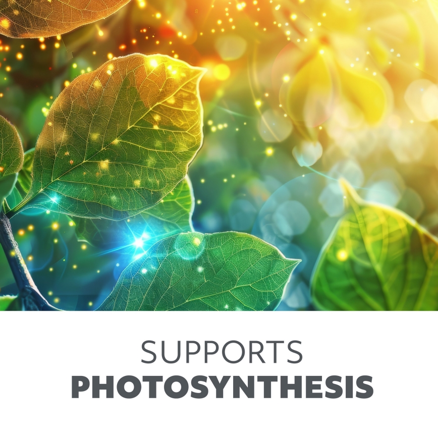 Lampada da tavolo LED dimmerabile e flessibile per coltivazione di piante VITARO 4xLED/10W/230V nero