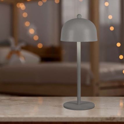Lampada da tavolo LED ricaricabile dimmerabile con touch LED/1W/5V 3000-6000K 1800 mAh grigio