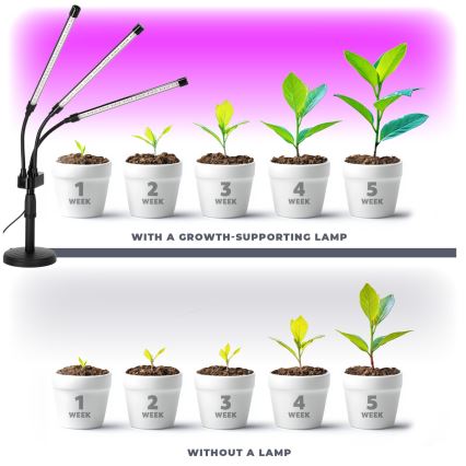Lampada da tavolo flessibile dimmerabile a LED per coltivazione piante VITARO 3xLED/10W/230V nero