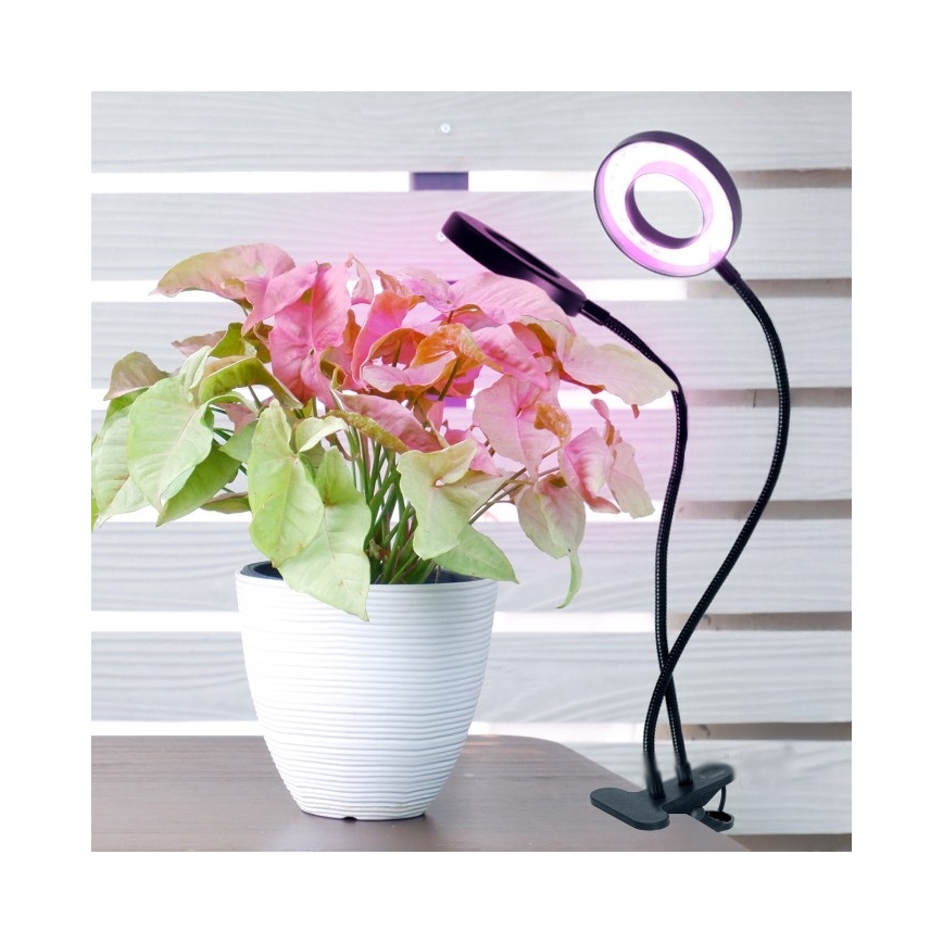 Lampada da tavolo flessibile dimmerabile a LED con clip per coltivazione piante VITARO 2xLED/4W/230V nero