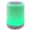 Lampada da tavolo RGB LED con altoparlante LED/5V
