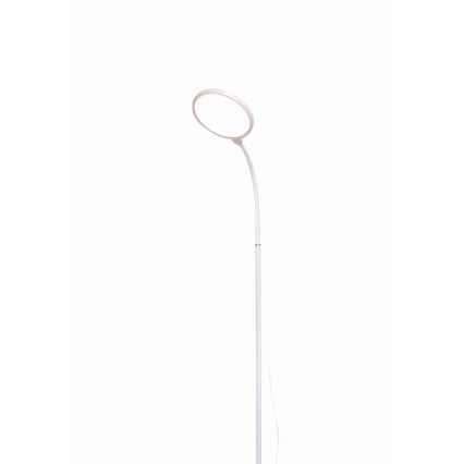 Lampada da terra dimmerabile a LED 2in1 LED/10W/230V bianco