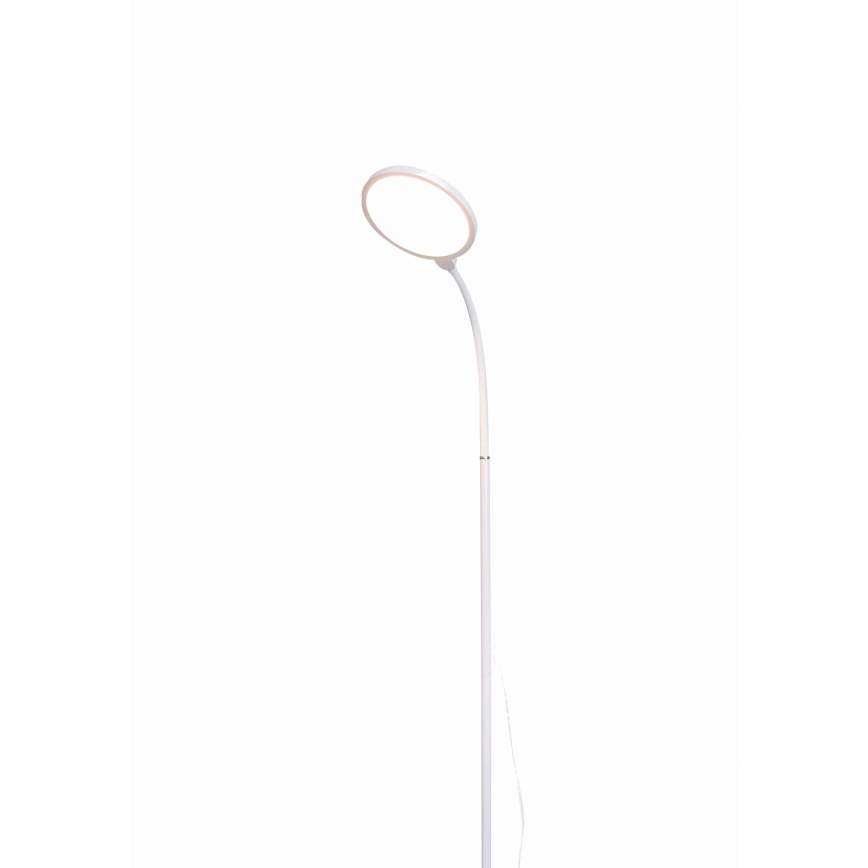 Lampada da terra dimmerabile a LED 2in1 LED/10W/230V bianco