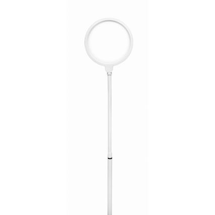 Lampada da terra dimmerabile a LED 2in1 LED/10W/230V bianco