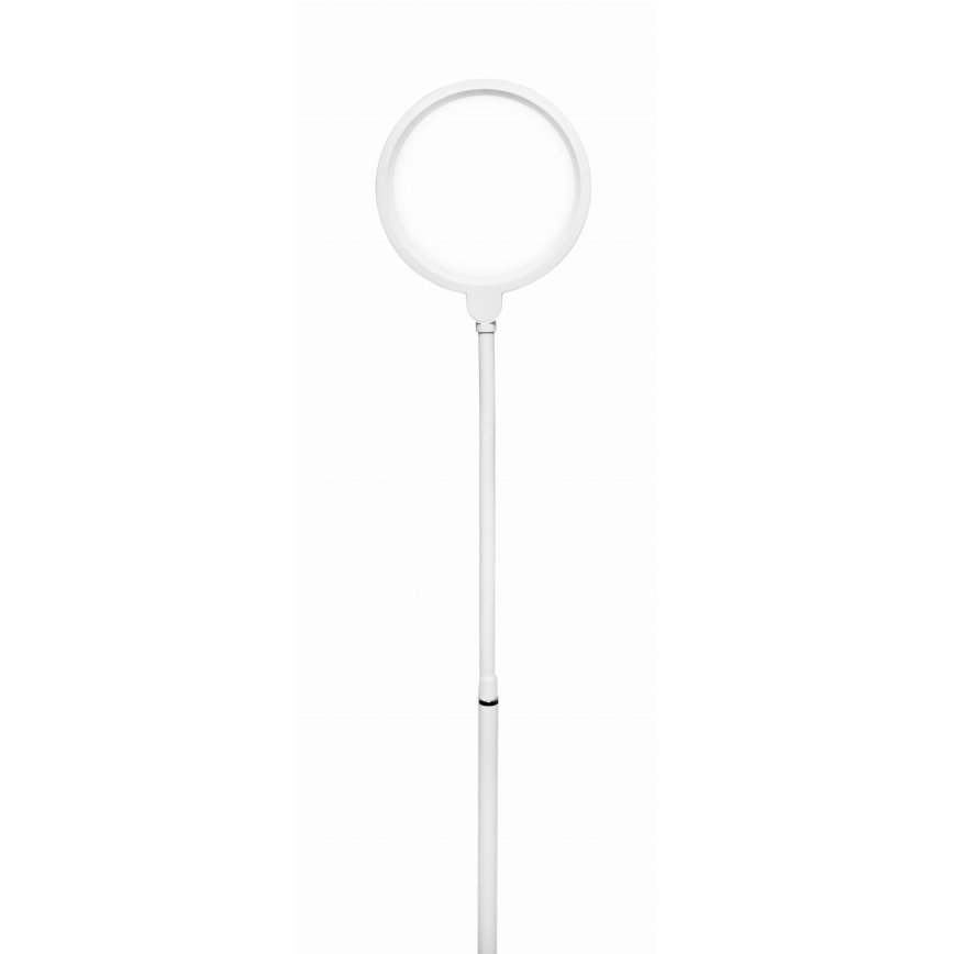 Lampada da terra dimmerabile a LED 2in1 LED/10W/230V bianco