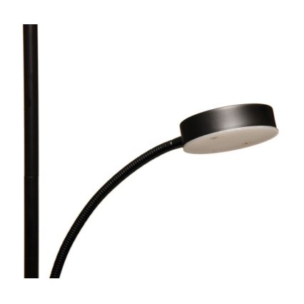 Piantana dimmerabile a LED NORA LED/25W/230V 2200/3000/4000K + LED/5W 3000K nera + telecomando