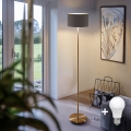 Lampada da terra LED TUNJA 1xE27/20W/230V Ø 30 cm oro/taupe
