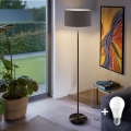 Lampada da terra LED TUNJA 1xE27/20W/230V Ø 38 cm nero/taupe