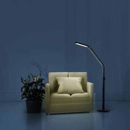 LED Dimmerabile touch lampada con piedistallo FERRARA LED/13W/230V 3000/4000/6500K nero