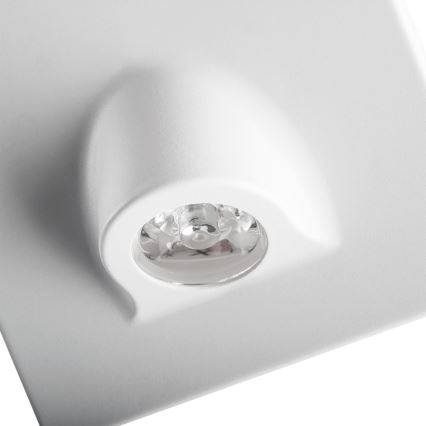 Lampada di orientamento LED MEFIS LED/0,7W/12V 4000 K bianca