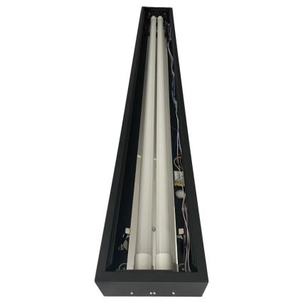 Lampada fluorescente T8 2xG13/18W/230V 120 cm nero