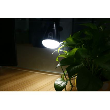 Lampada LED CLIP LED/5W/5V 4000K