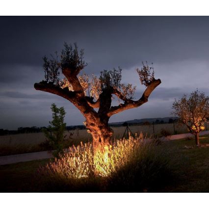 Lampada LED da esterno EASY CONNECT 1xGU10/6,5W/230V IP67 cromo opaco