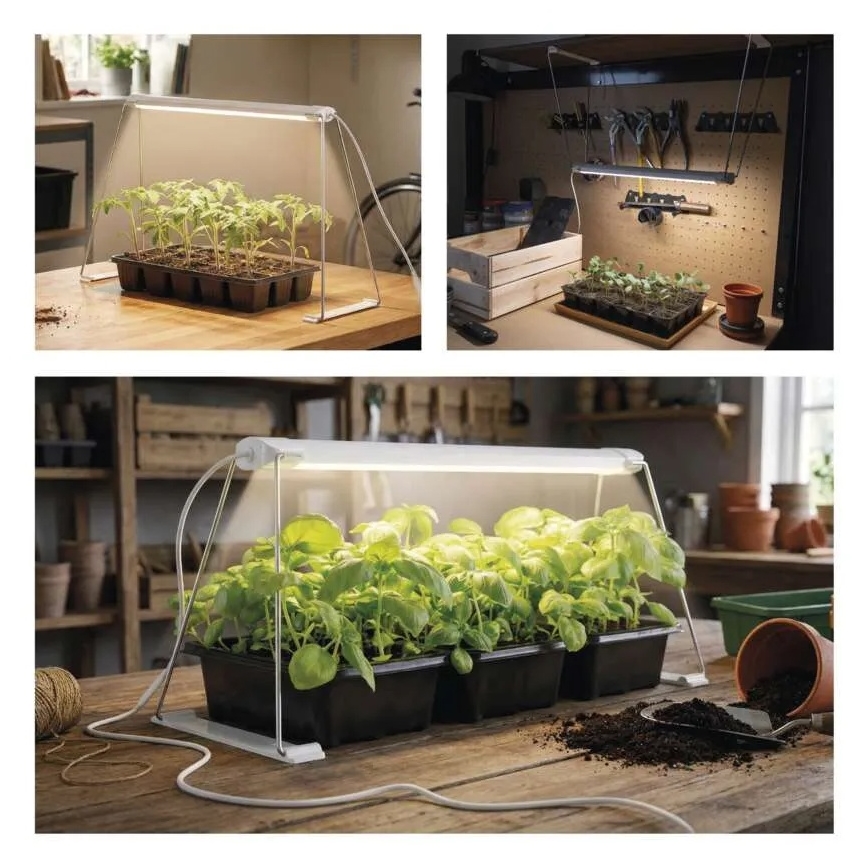 Lampada LED da interno per la coltivazione di piante GROW LED/15W/230V