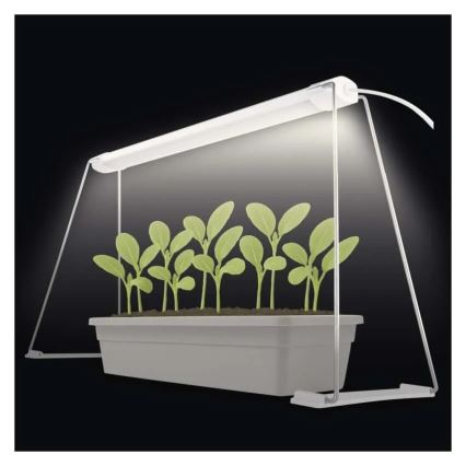 Lampada LED da interno per la coltivazione di piante GROW LED/15W/230V