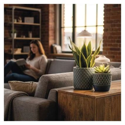 Lampada LED da interno per la coltivazione di piante GROW LED/5W/5V