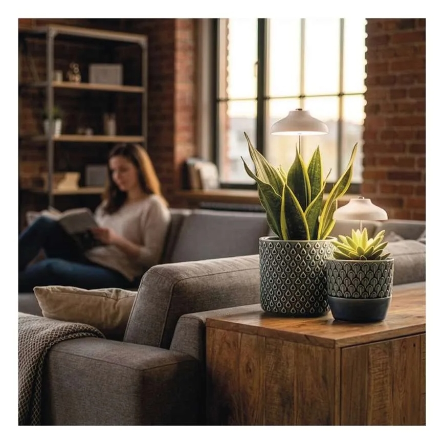 Lampada LED da interno per la coltivazione di piante GROW LED/5W/5V