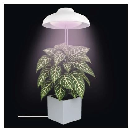 Lampada LED da interno per la coltivazione di piante GROW LED/5W/5V
