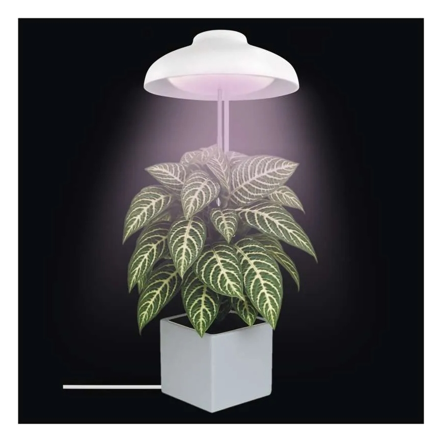 Lampada LED da interno per la coltivazione di piante GROW LED/5W/5V