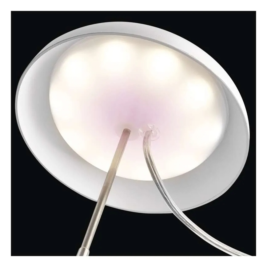 Lampada LED da interno per la coltivazione di piante GROW LED/5W/5V