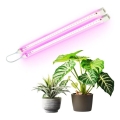 Lampada LED da sottolavello per coltivazione piante GROWLY 2xLED/8,5W/230V bianco