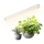 Lampada LED da sottolavello per coltivazione piante GROWLY LED/9W/230V bianco