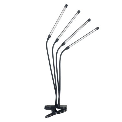 LED Dimmerabile flexible lampada da tavolo con clip per la coltivazione di piante VITARO 4xLED/10W/230V nero