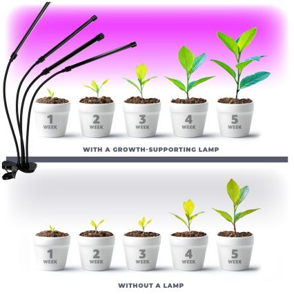 LED Dimmerabile flexible lampada da tavolo con clip per la coltivazione di piante VITARO 4xLED/10W/230V nero