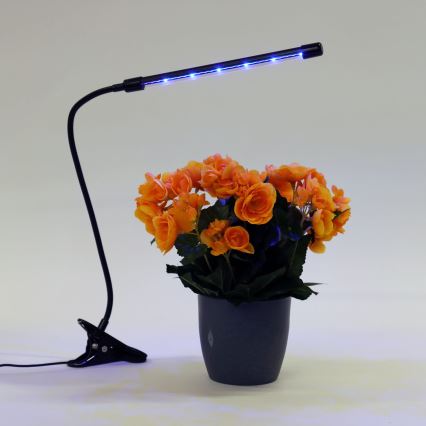 Lampada LED dimmerabile con clip per l'illuminazione delle piante LED/3W/230V nero